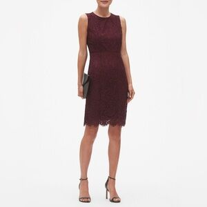 Banana Republic Petite Burgundy Lace Sheath Dress